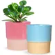 Multicolor__Ecofynd
