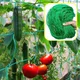 Green__Ecofynd