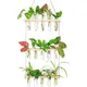 Multicolor__Ecofynd