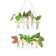 Multicolor__Ecofynd