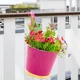 Pink__Ecofynd