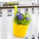 Yellow__Ecofynd