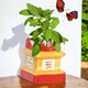 Red & Yellow__Ecofynd