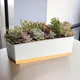 Multicolor__Ecofynd
