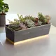 Multicolor__Ecofynd