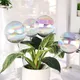 Transparent__Ecofynd