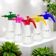 Multicolor__Ecofynd