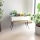 Pack Of 1__Ecofynd