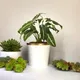 Multicolor__Ecofynd