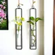 Black & Transparent__Ecofynd