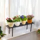 Pack Of 1__Ecofynd
