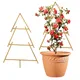 Gold__Ecofynd