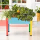 Multicolor__Ecofynd