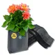 Blacl__Sushila Agrofert