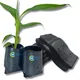 Black__Sushila Agrofert