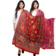 Maroonrani__DIAMO CARE