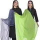 GreyLightGreen__DIAMO CARE
