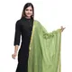 Green__DIAMO CARE