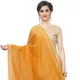Mustard__DIAMO CARE