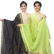 BlackLightGreen__DIAMO CARE