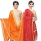 OrangeRed__DIAMO CARE