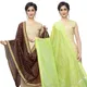 BrownLightGreen__DIAMO CARE