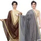 BrownGrey__DIAMO CARE