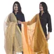 YellowOrange__DIAMO CARE