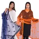 DarkBlueOrange__DIAMO CARE