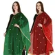 DarkGreenMaroon__DIAMO CARE
