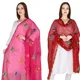 PinkMaroon__DIAMO CARE