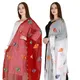 WhiteMaroon__DIAMO CARE