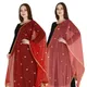MaroonGajari__DIAMO CARE