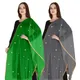 ParrotGreenGrey__DIAMO CARE