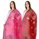 MaroonPink__DIAMO CARE