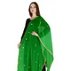 Parrot__DIAMO CARE