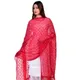 Pink__DIAMO CARE