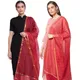 MaroonRed__DIAMO CARE