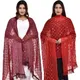 MaroonRed__DIAMO CARE