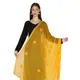 Yellow__DIAMO CARE