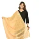 Beige__DIAMO CARE