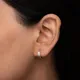 Gold__Shreepati