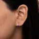 Silver__Shreepati