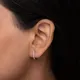 Silver__Shreepati