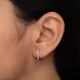 Silver__Shreepati