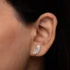 Silver__Shreepati