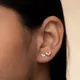 Rose Gold__Shreepati