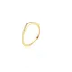 Gold__Shreepati
