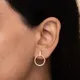 GOLD__Shreepati