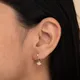 Gold__Shreepati